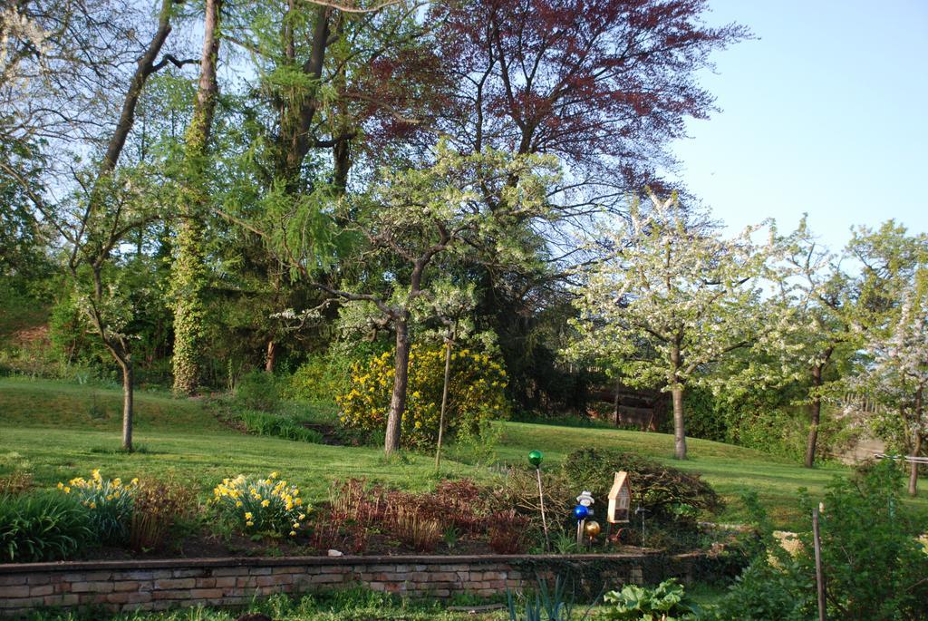 Les Bleuets Villa Scharrachbergheim-Irmstett Rom bilde